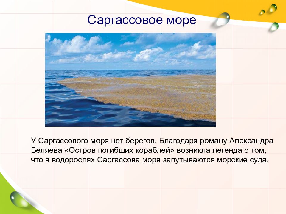 Картинки саргассово море