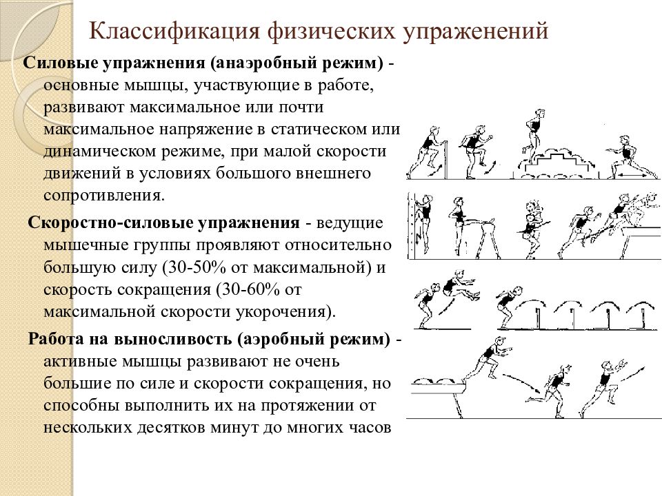 Признаки физических упражнений. Классификация нагрузок и физических упражнений. Классификация физ нагрузок. Классификация силовых упражнений. Виды физических нагрузок их интенсивность.