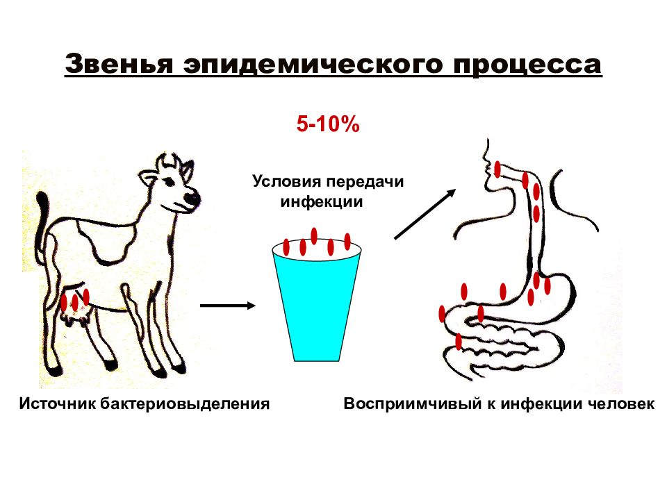 3 звена эпидемического процесса