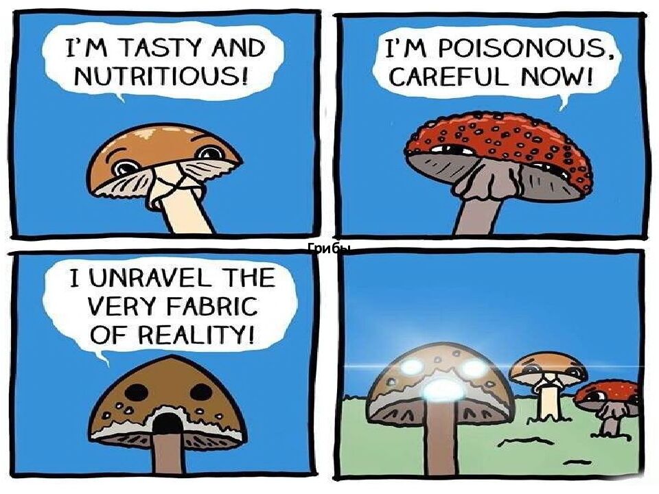Грибы