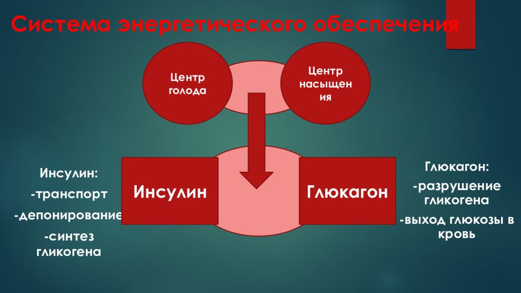 Гиперфункция глюкагона. Глюкагон гиперфункция и гипофункция. Гипофункция глюкагона. Гипер и гипофункция глюкагона. Инсулин и глюкагон.