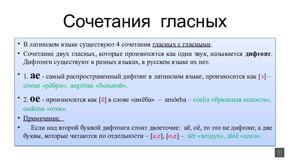 Слова на латинском языке