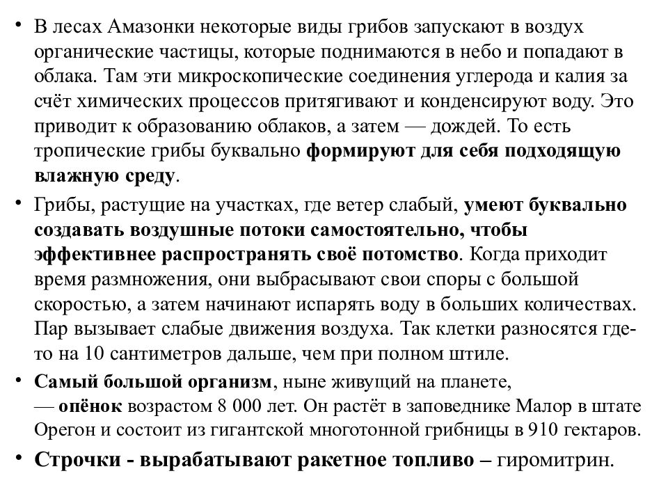 Грибы