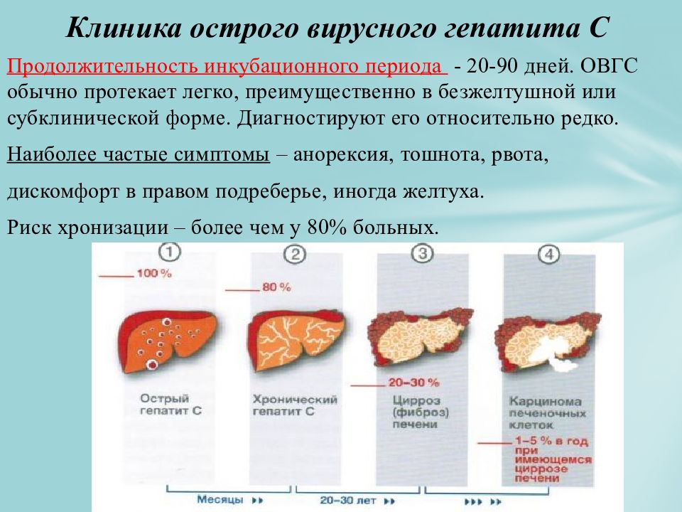 Гепатит б и с презентация