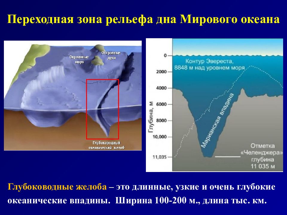 Рельеф мирового океана. Рельеф дна мирового океана. Переходная зона мирового океана. Глубокие, длинные и узкие Океанические впадины.. Геологическая деятельность океана.