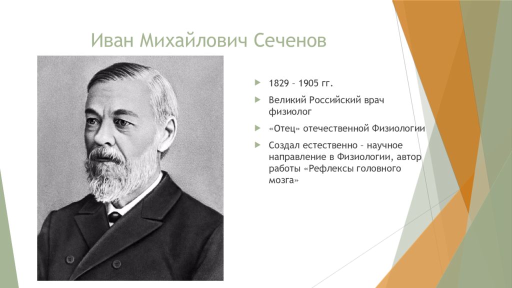 Ученые для егэ по биологии. Иван Михайлович Сеченов (1829 – 1905) вклад. Иван Сеченов вклад в биологию. Сеченов Иван Михайлович достижения. Иван Михайлович Сеченов вклад в науку.