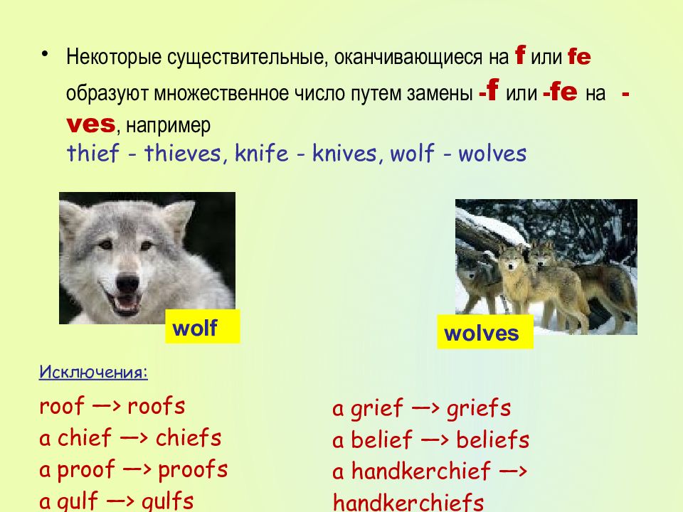 Множественное число существительных исключения. Животные на английском во множественном числе. Мн число и животные англ. Множественное число животных в английском языке. Животные во множественном числе на немецком.