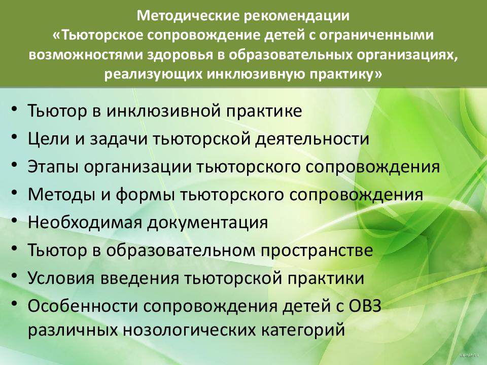 План работы тьютора по сопровождению учащихся с овз в школе