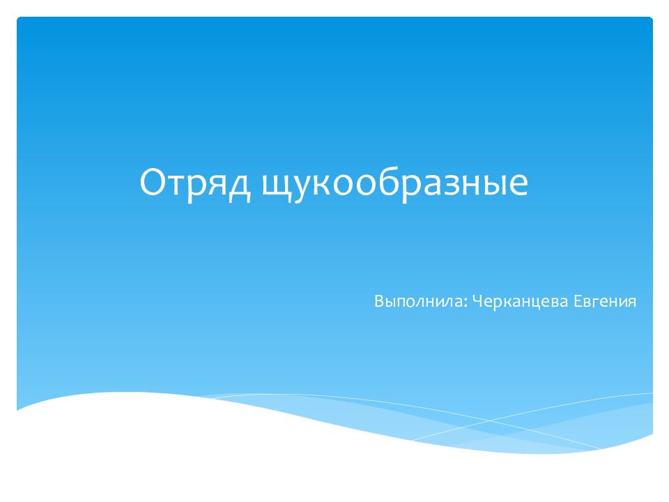 Отряд щукообразные