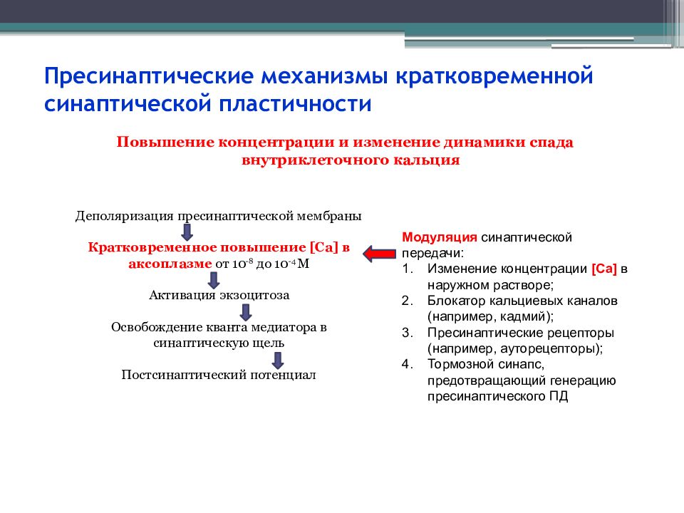 Увеличение краткосрочных. Синаптическая пластичность. Механизмы кратковременной синаптической пластичности. Пресинаптические рецепторы. Механизмы увеличения концентрации внутриклеточного кальция.