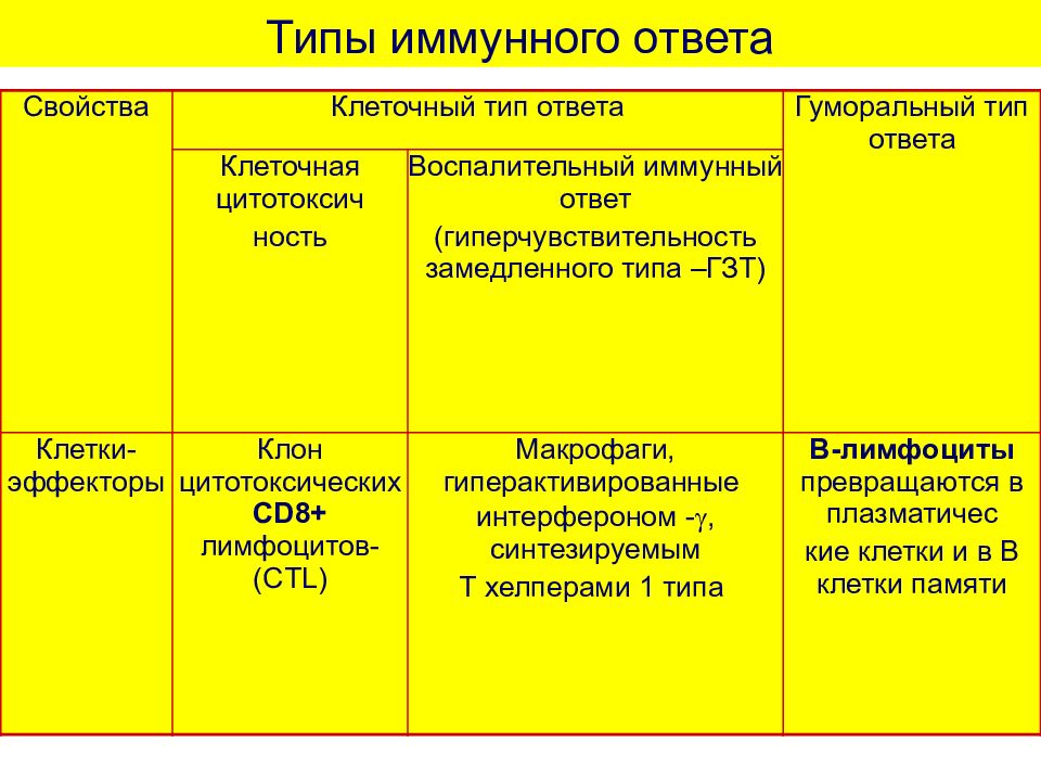 Схема клеточного иммунного ответа