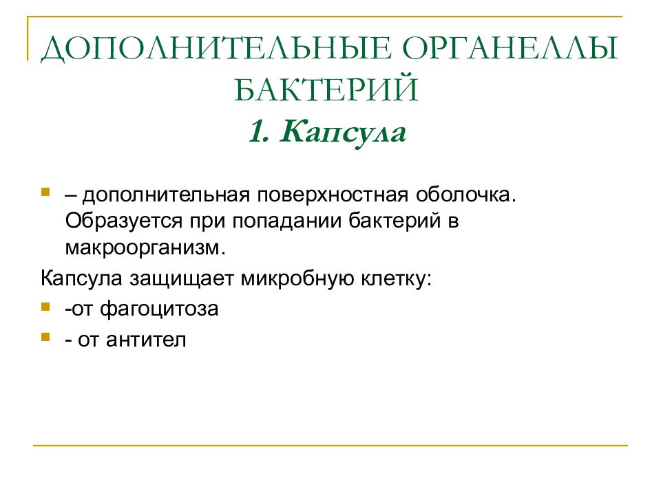 Морфология и физиология бактерий. Методы изучения морфологии бактерий. Методы изучения физиологии бактерий.