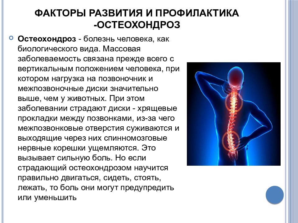 Профилактика остеохондроза презентация