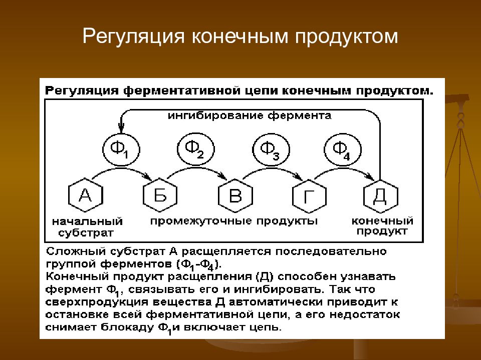 Укажите конечный продукт. Основные концепции биологии. Основные концепции современной биологии. Концептуальное значение современной биологии. Методы биологической съемки.