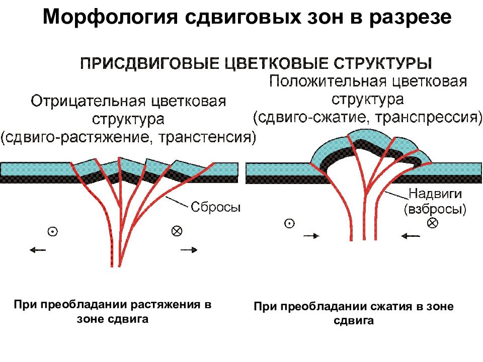 Тектоник структура. Дуплекс Геология. Сдвиг Геология. Растяжение в геологии.