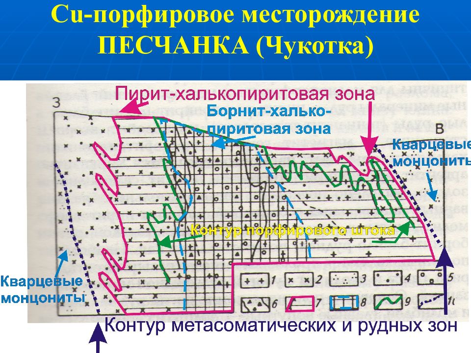 Чукотка песчанка карта