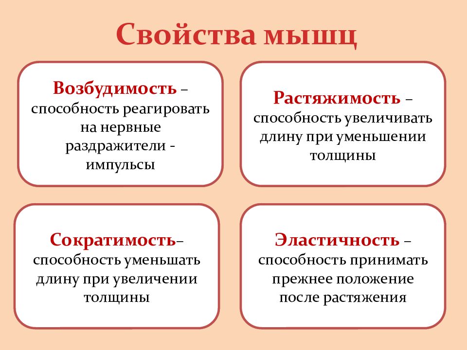 Свойства возбудимость и сократимость. Свойства мышц. Основные свойства мышц. Физиологические свойства мышц. Возбудимость и сократимость.