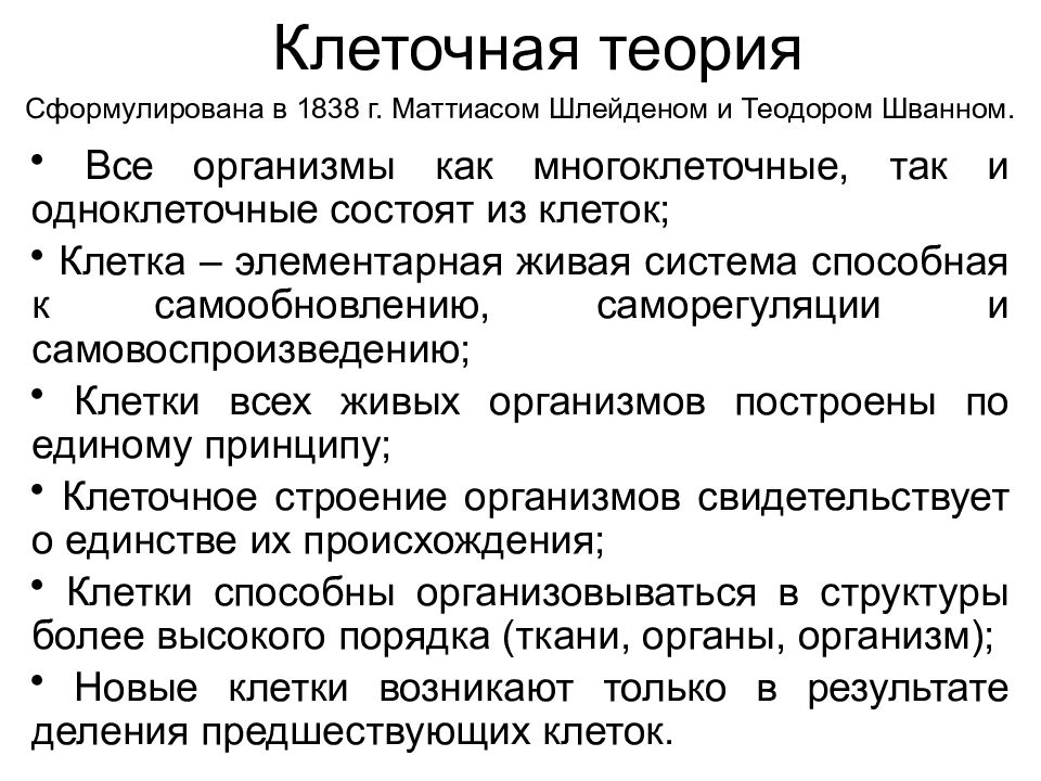 Клеточная теория основные положения. Положение первой клеточной теории. Клеточная теория строения организмов. Основные положения основной клеточной теории. Клеточная теория современная формулировка.