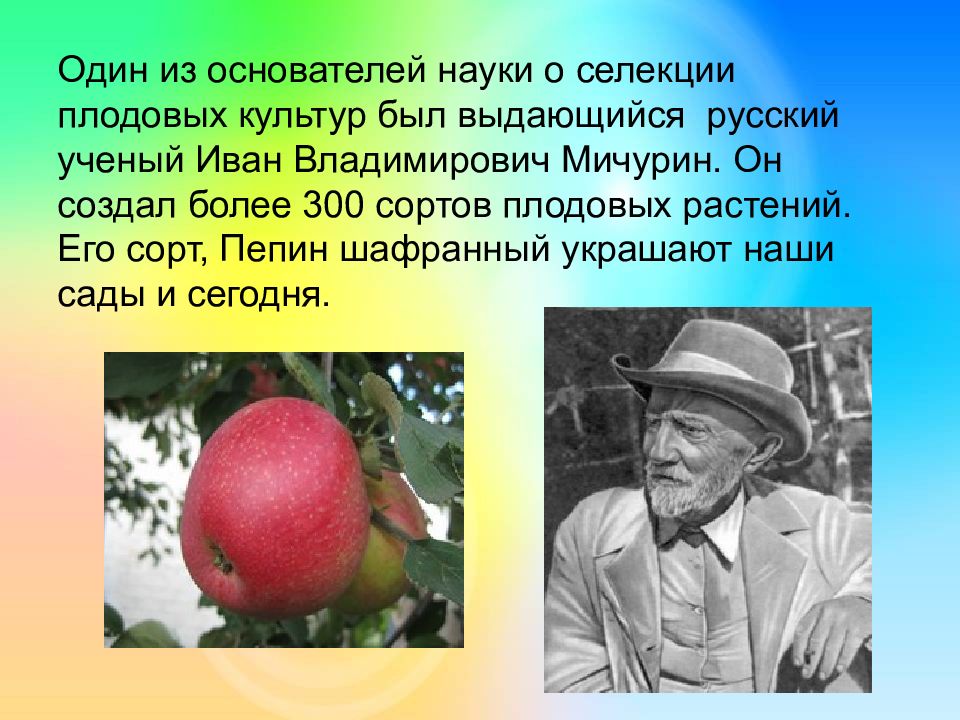 Достижения селекции в россии презентация