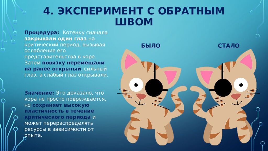 Нейроны зрительной коры: детекторы признаков и их иерархия