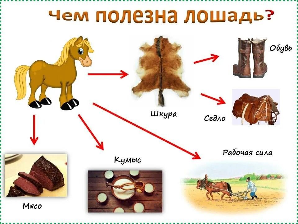 Домашние звери презентация 7 класс