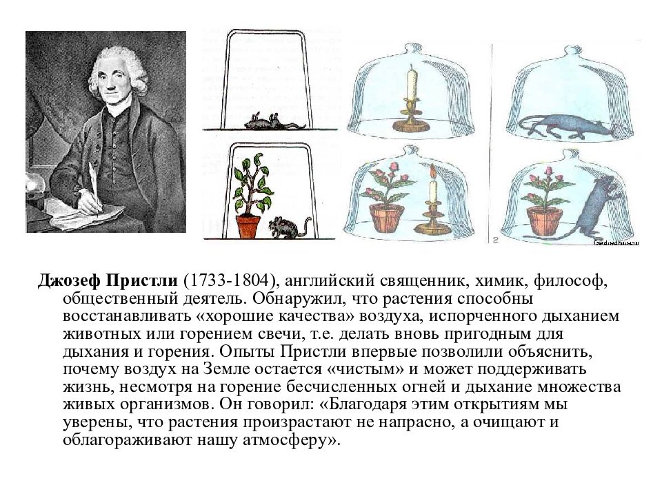 Опыт изображенный на рисунке был осуществлен английским химиком джозефом пристли в 1771 году