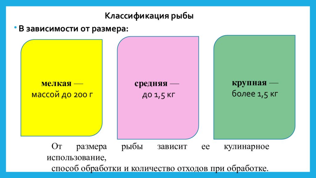 От размеров рыбы зависит. Классификация рыбы по размеру. Классификация рыбы по размеру массе. Как классифицируют рыбу по размеру. Градация размеров рыб.