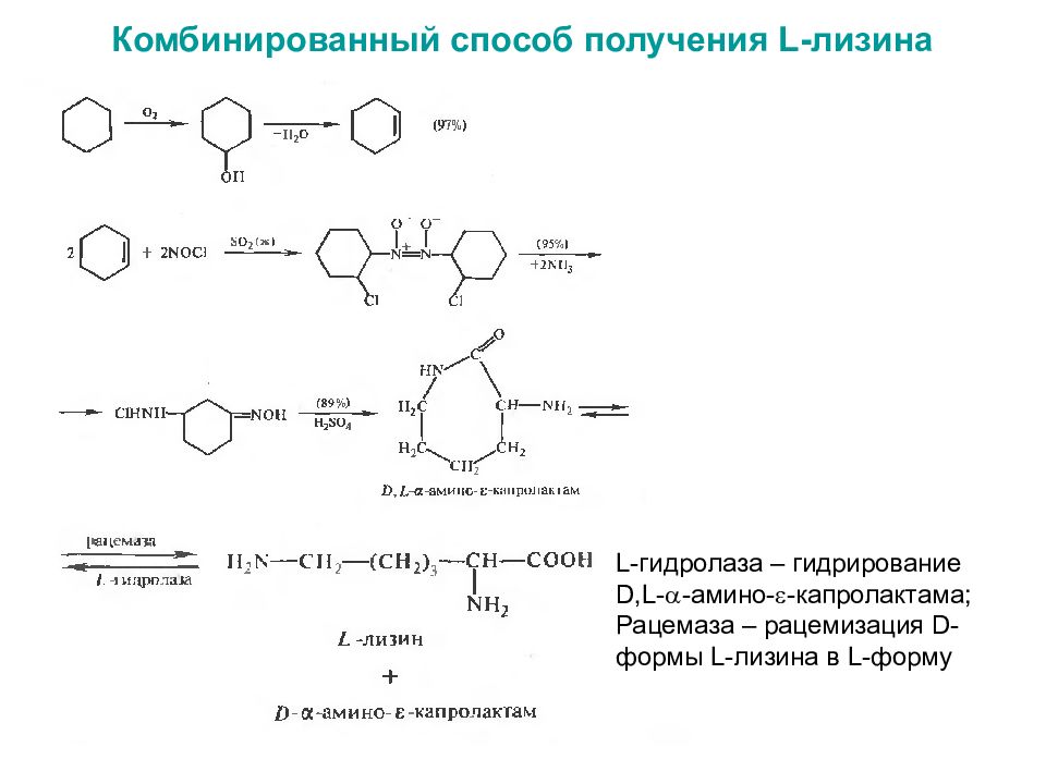 Синтез л. 2,6-Диаминогексановая кислота (лизин). Лизин Синтез из капролактама. Синтез лизина схема. Аминоадипиновый путь синтеза лизина.