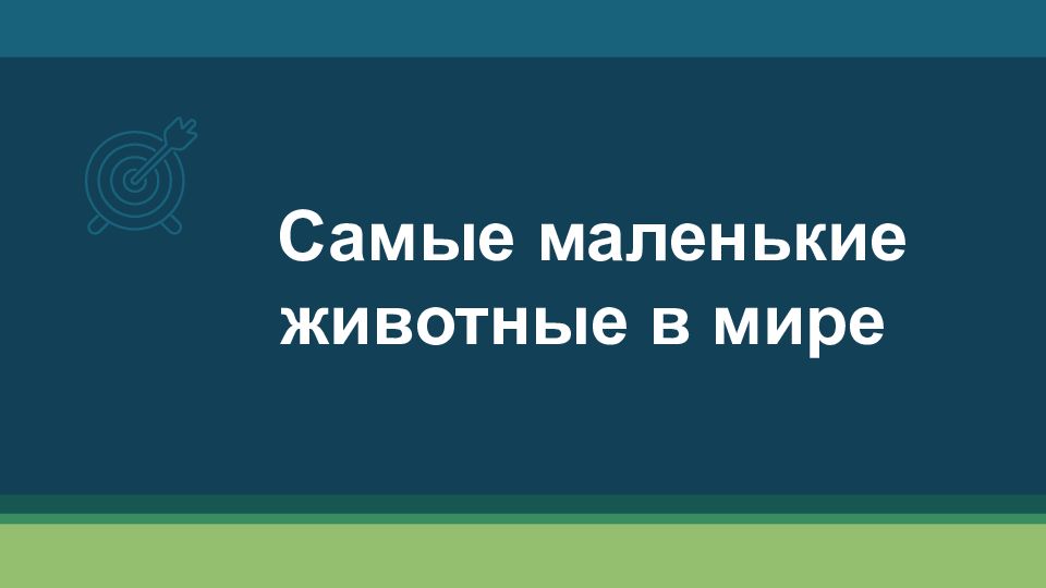 Самые маленькие животные в мире