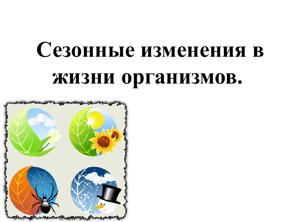 Презентация сезонные изменения в жизни организмов 5 класс пасечник