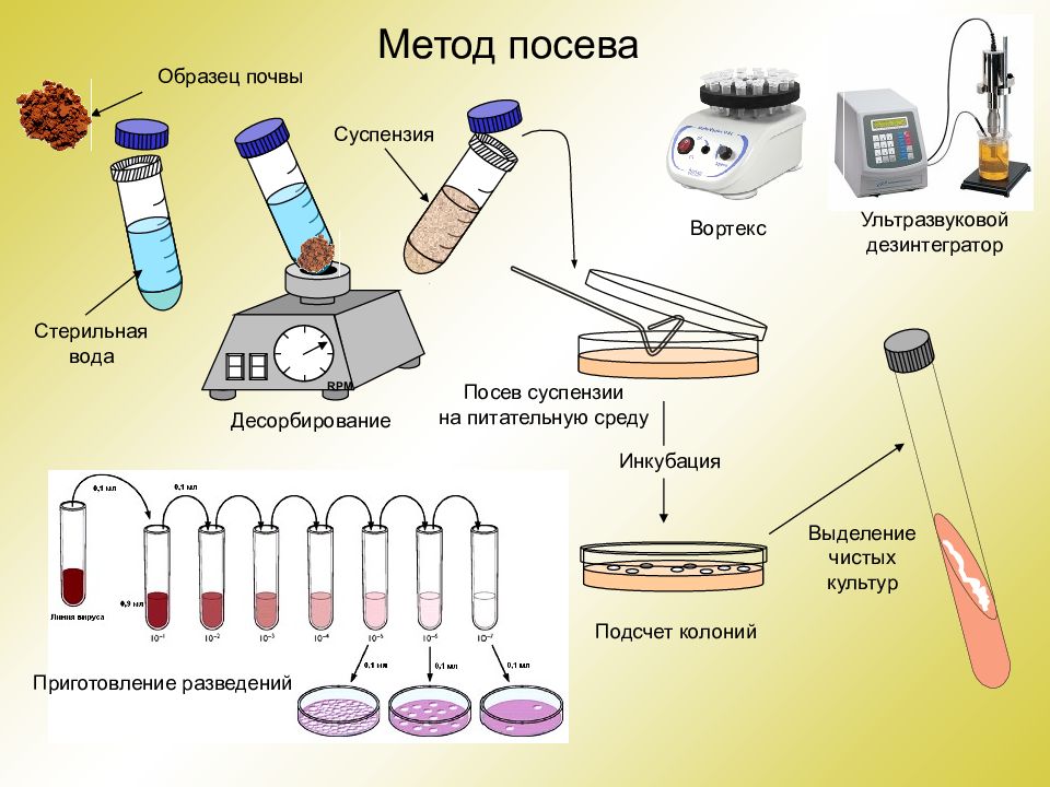 Выращивание микробов на различных питательных средах презентация