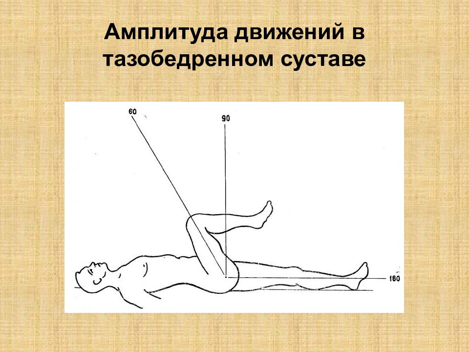 Движения в позвоночнике. Амплитуда движений в тазобедренном суставе. Амплитуда движений в суставах. Амплитуда движений в коленном суставе. Амплитуда движения это.