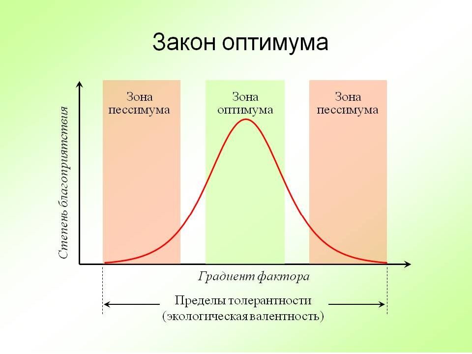 Схема действия факторов среды на живые организмы