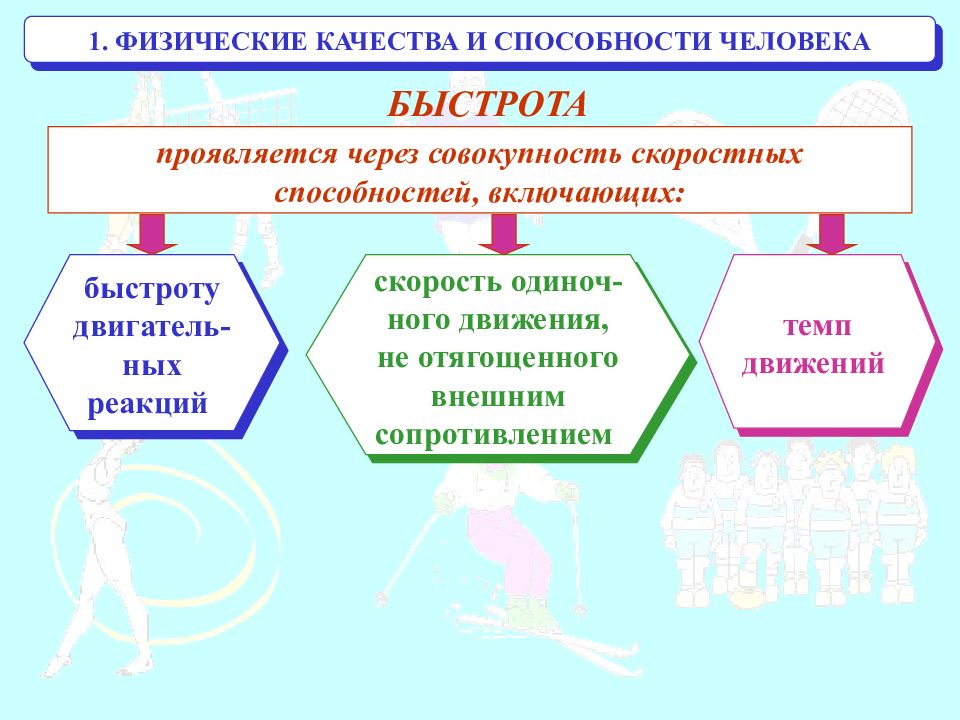 Физические способности виды