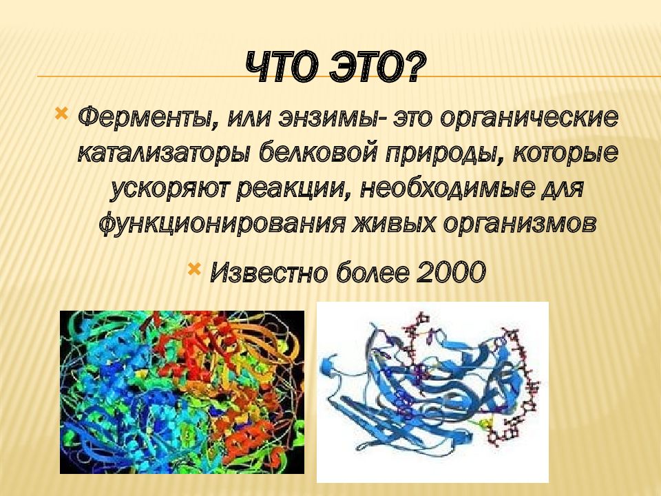 Энзимы это. Ферменты это. Ферменты энзимы. Ферменты это в биологии. Ферменты или энзимы.