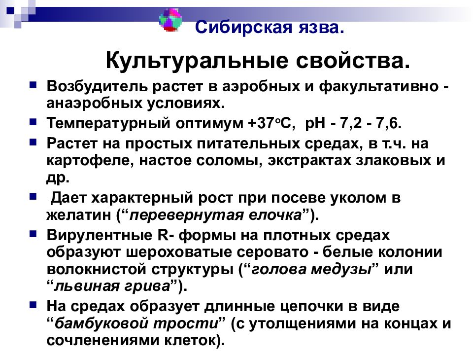 Сибирки мобильная версия. Классификация возбудителя сибирской язвы. Патогенез сибирской язвы. Микробиологическая характеристика возбудителя сибирской язвы. Возбудитель сибирской язвы культуральные свойства.