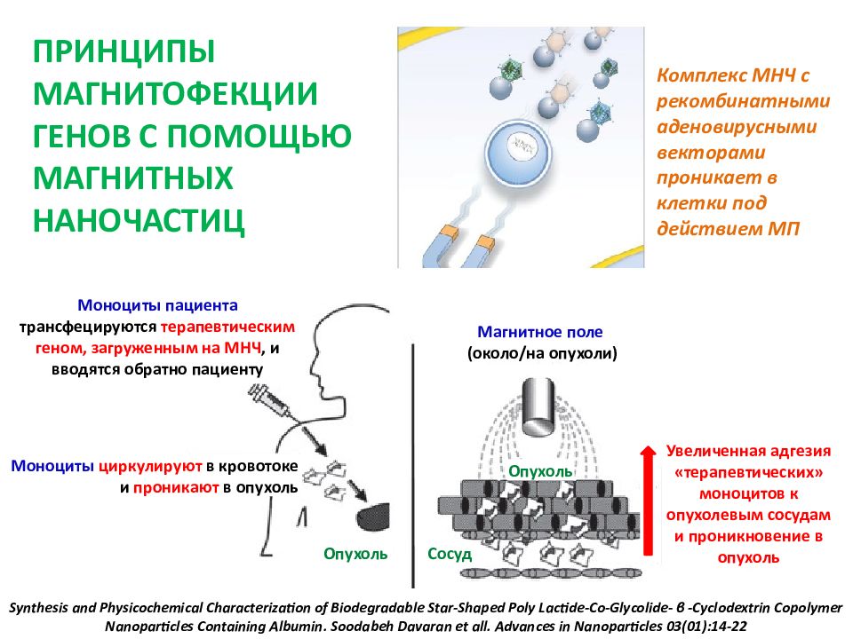 Магнитная 26