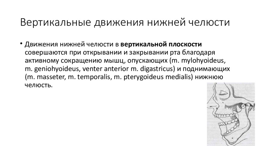 Движение нижней челюсти. Протрузионные движения нижней челюсти. Вертикальные движения нижней челюсти. Биомеханика нижней челюсти. Вертикальные движения нижней челюсти.. Движения нижней челюсти в вертикальной плоскости.