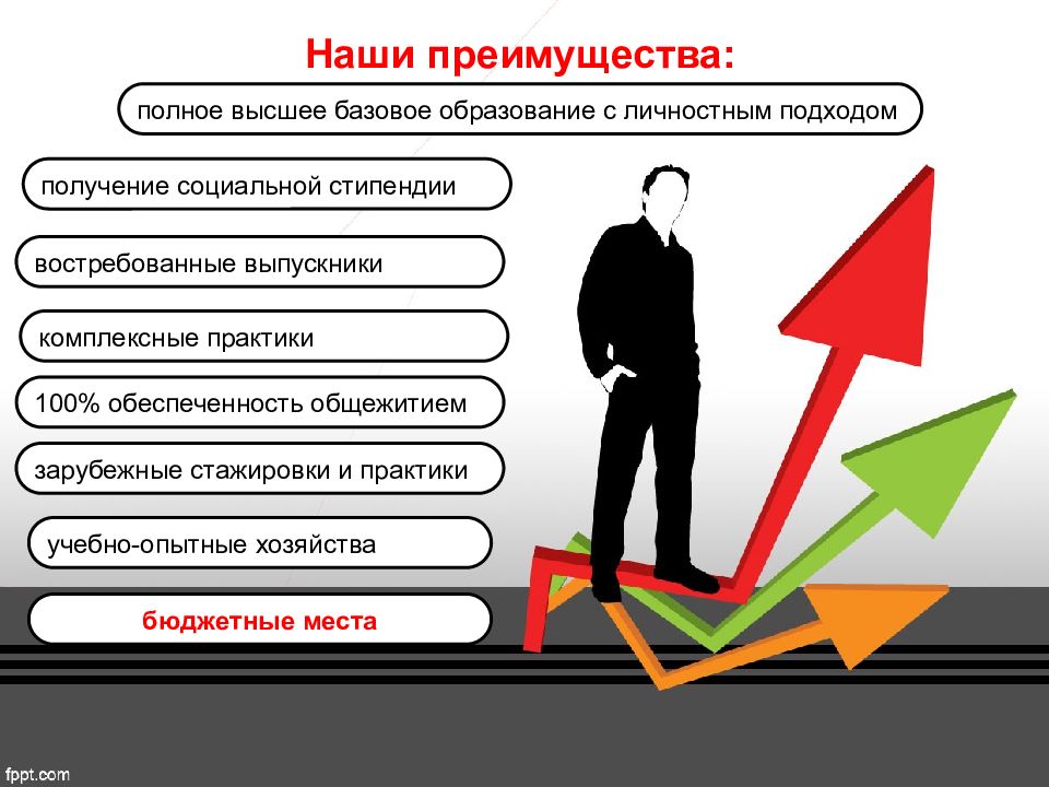 Что такое базовое высшее образование