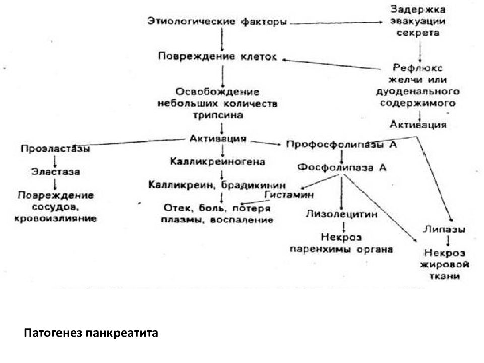 Патофизиология в схемах и таблицах