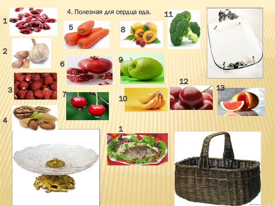 Как работает наше сердце