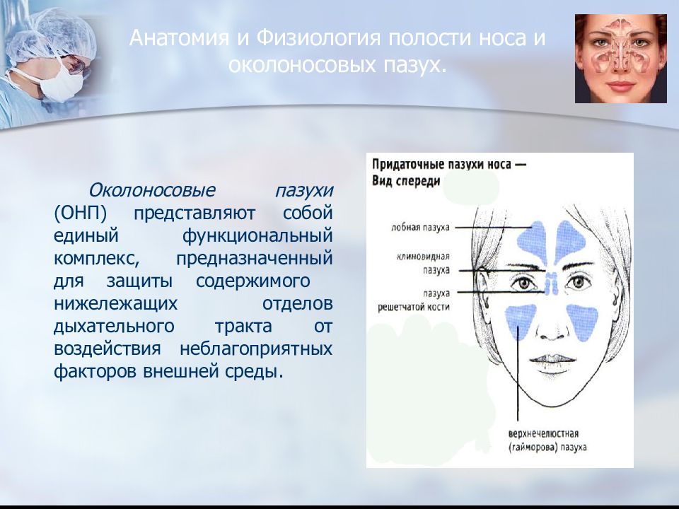 Укажите на рисунке области проекции околоносовых пазух на лицо человека