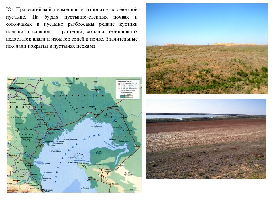 Прикаспийская низменность картинки