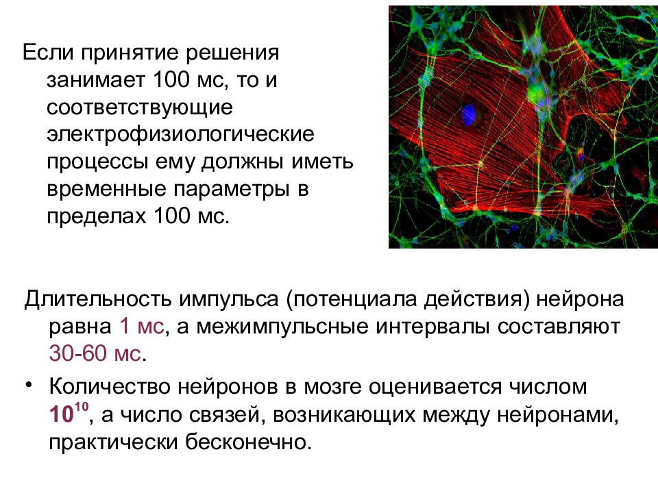 Психофизиология решения. Электрофизиологический процесс. Электрофизиологические корреляты мышления. Электроэнцефалографические корреляты мышления. Нейронные корреляты мышления.