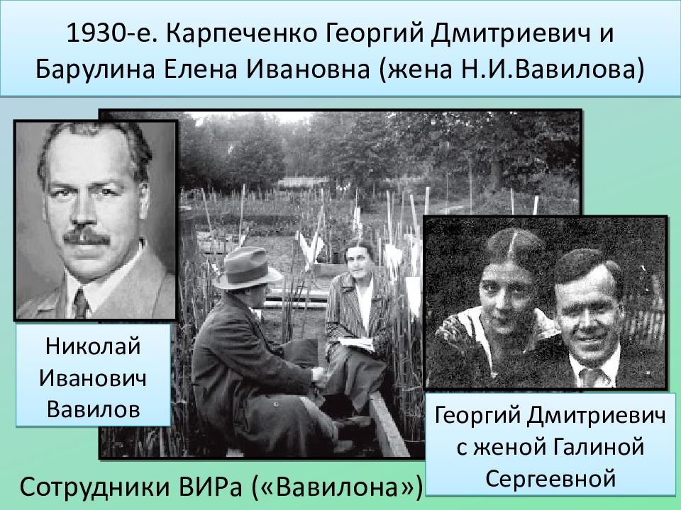 Карпеченко вельске. Георгий Дмитриевич Карпеченко кратко. Георгий Дмитриевич Карпеченко фото. Карпеченко портрет. Сообщение о г д Карпеченко.