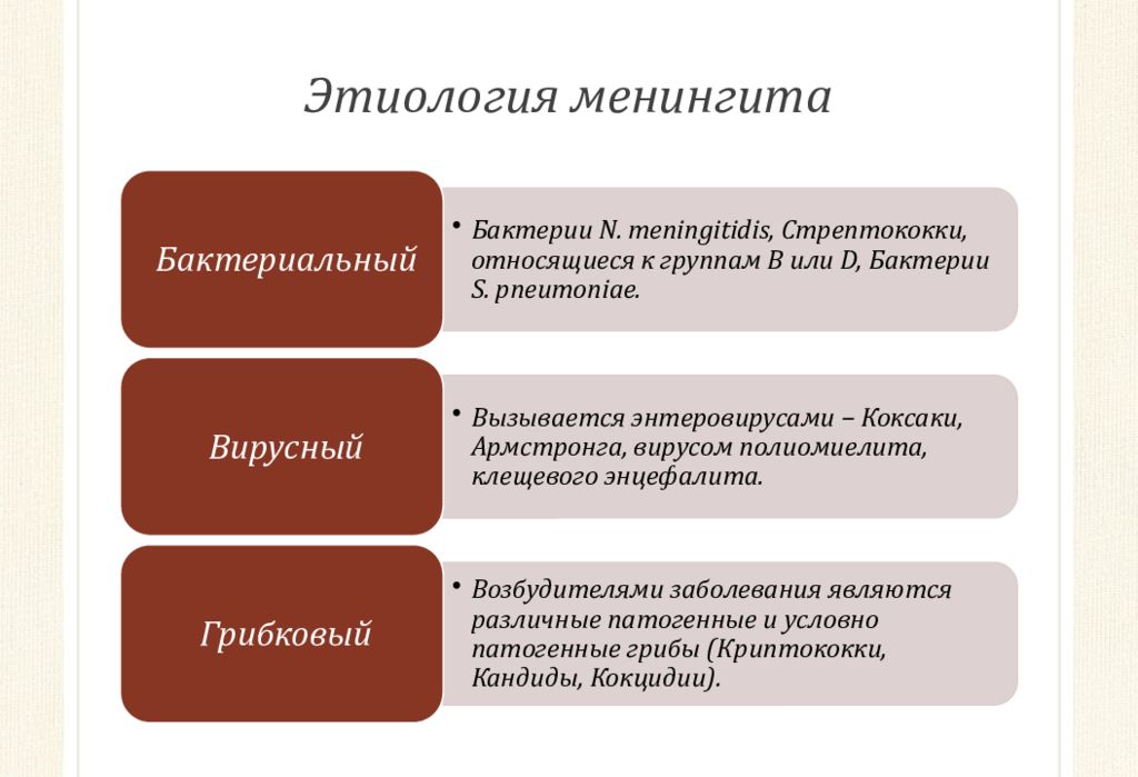 Менингококковая инфекция патогенез схема