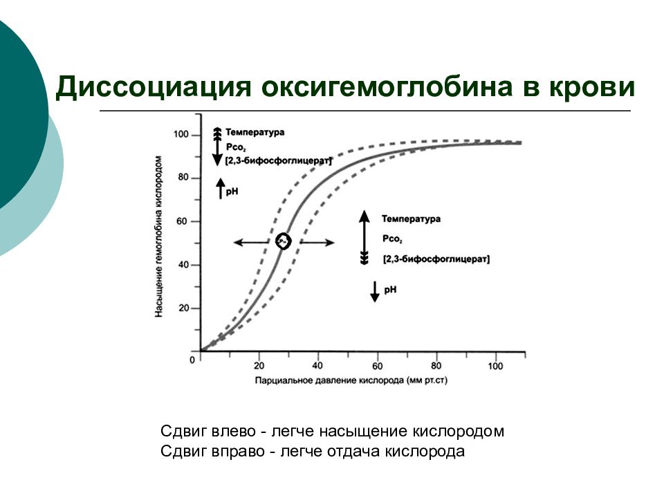 Диссоциация оксигемоглобина