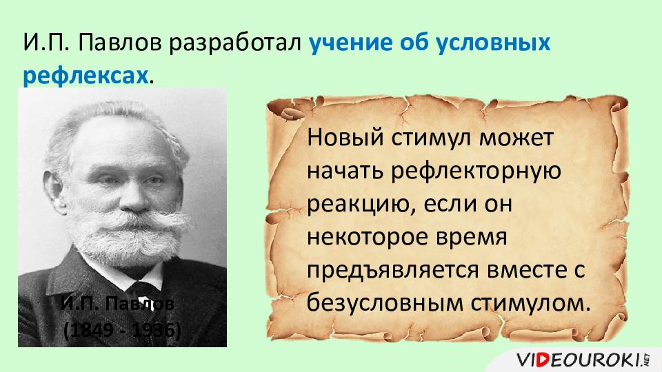 Автор учения об условных рефлексах. Учение об условных рефлексах.