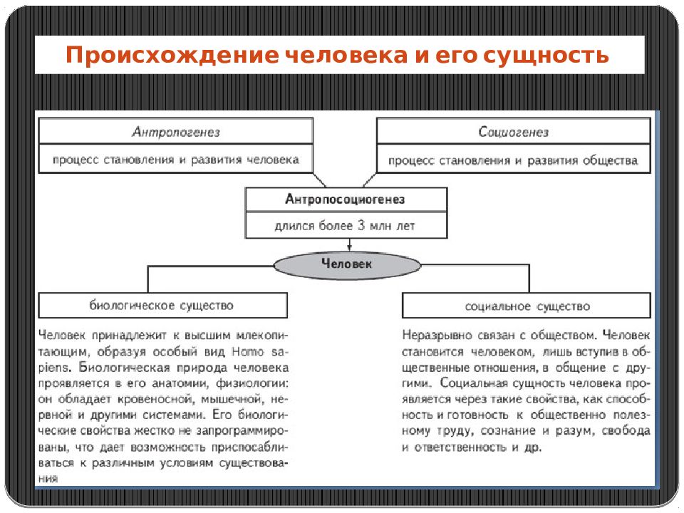 Происхождение человеческого общества