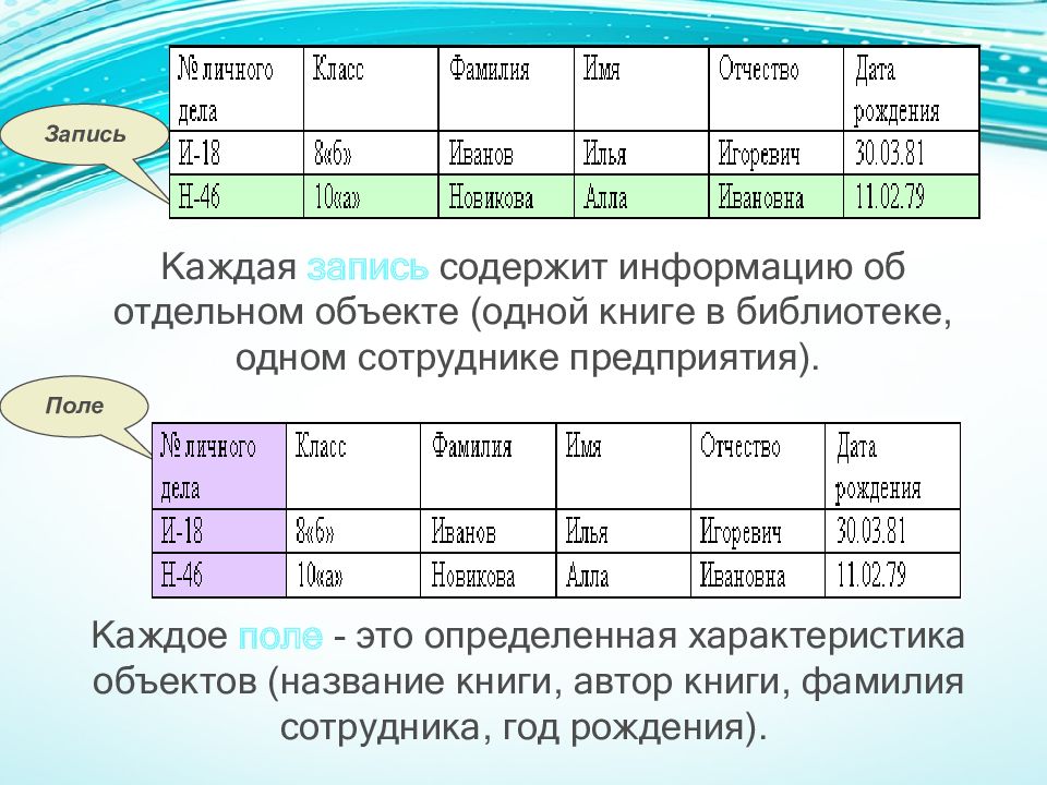 Запись поле записи содержат. Что такое запись поле какую информацию они содержат.